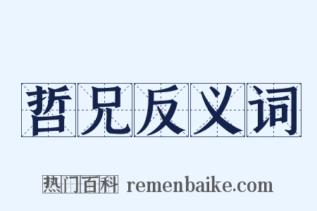 哲兄反义词是什么意思的图片